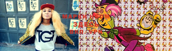 PSILOCYBIN Кодинск