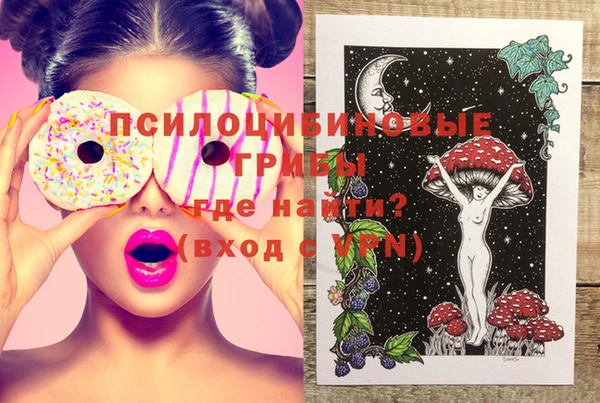 PSILOCYBIN Кодинск