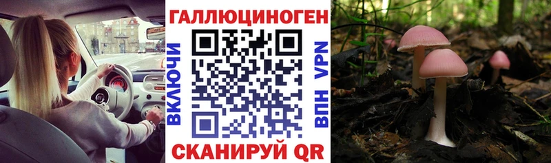 Псилоцибиновые грибы GOLDEN TEACHER  Купить где  Новошахтинск 